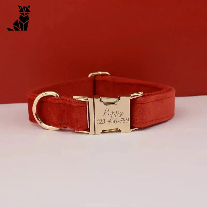 Collier pour chien en velours rouge avec boucle dorée, résistant à l’usure, personnalisable pour les petits chiens