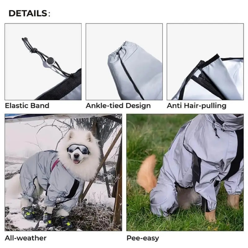 Chien portant une combinaison réfléchissante imperméable, combinaison imperméable avec des lunettes de soleil