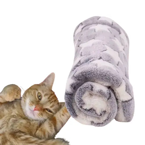 Couverture pour chat | CatsCovered™ Transparent Background