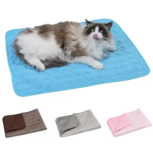 Couverture Rafraichissante En Fibre High Tech Pour Chats Transparent Background