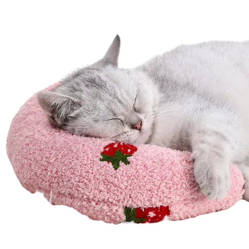 Chat dormant sur un oreiller rose avec une fraise, Cozy Bed for Cats, coussin apaisant Transparent Background