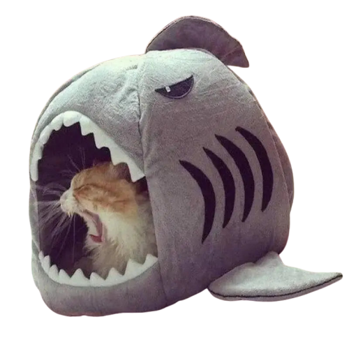 Panier Requin Pour Chat Dur à Cuire: Un Lit D’aventure! Transparent Background