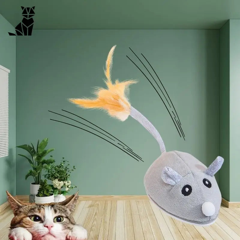 Souris pour chat | Souricat™