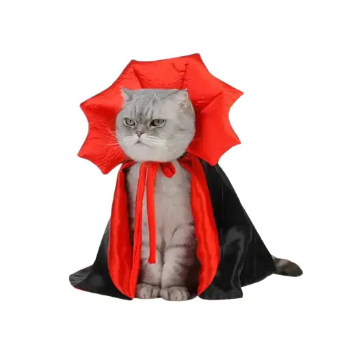Costume de chat vampire pour Halloween : Amusement et confort pour votre star féline Transparent Background