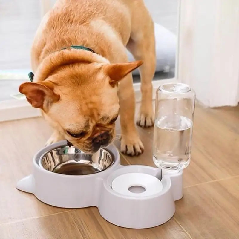 Chien buvant de l’eau dans une double gamelle : Nourriture et eau - Idéal pour les chiens et les chats