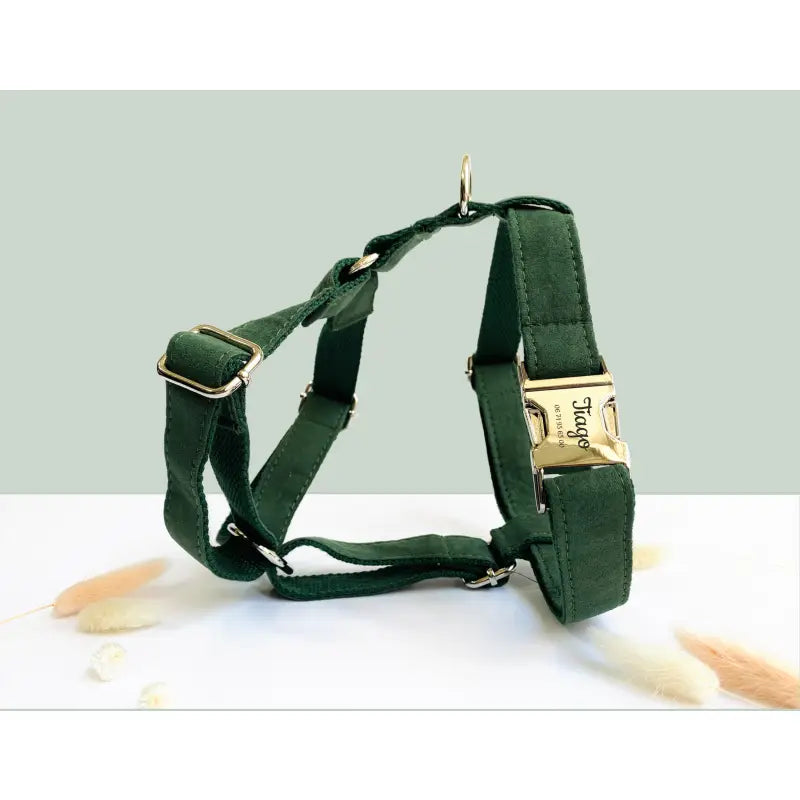 Kit Complet Chien Personnalisé Coton Vert Sapin