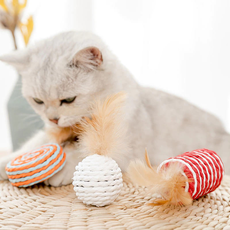 Kit du chat pêcheur