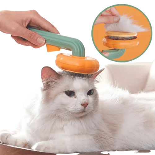 Brosse nettoyante Brushcat pour chat en action - Plus de poils partout ! Transparent Background