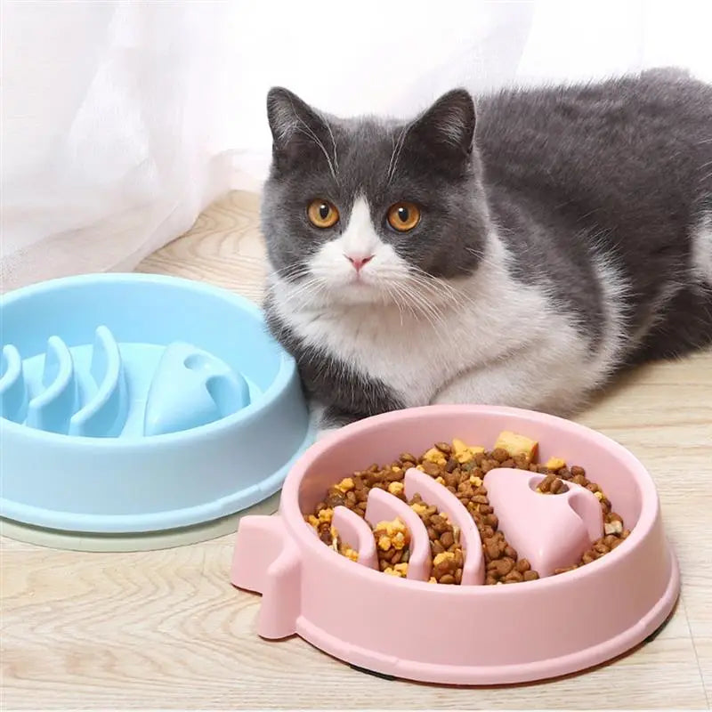 Mangeoire lente pour chat