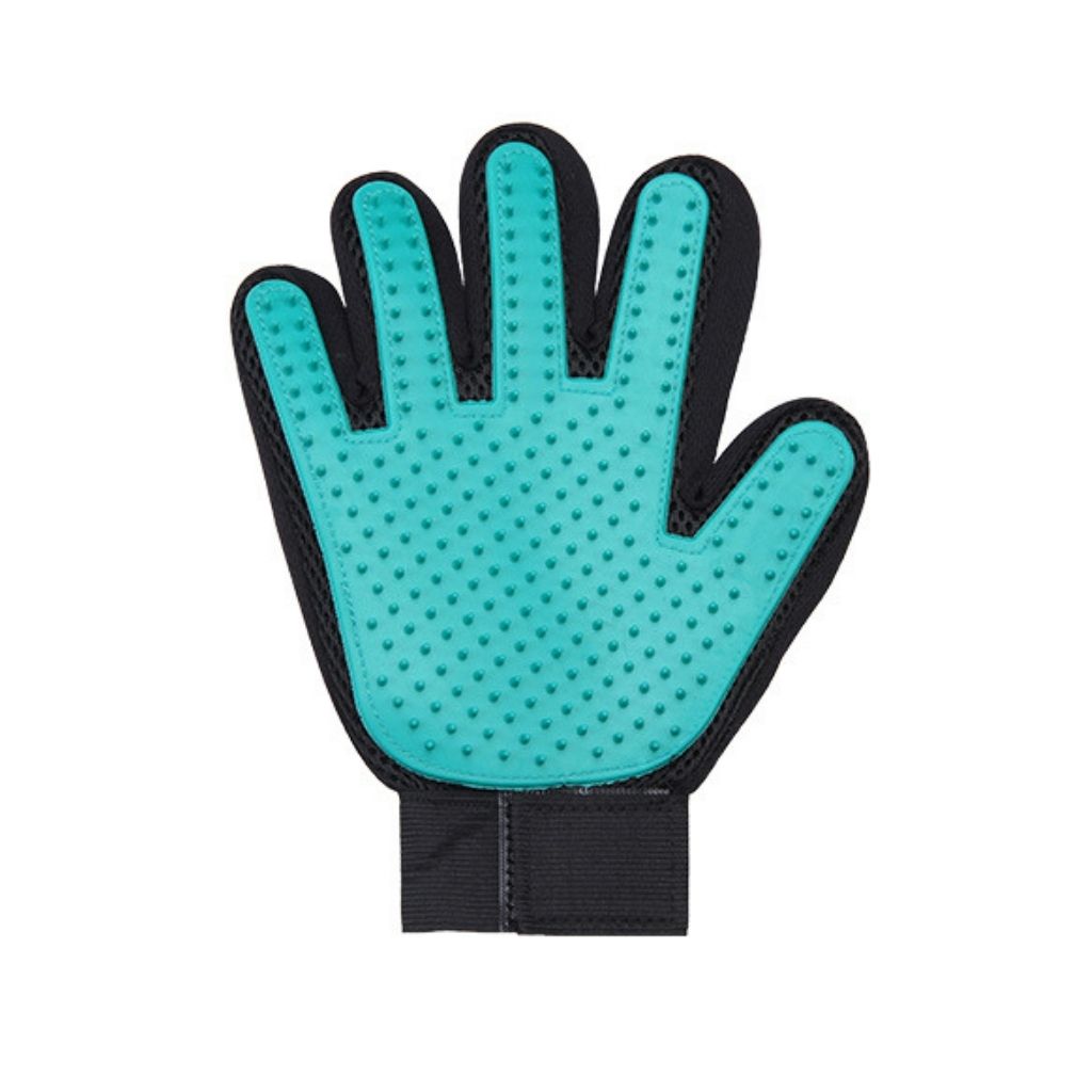 Gant de toilettage pour chien et chat