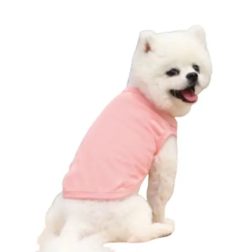 Gilet pour chien Transparent Background