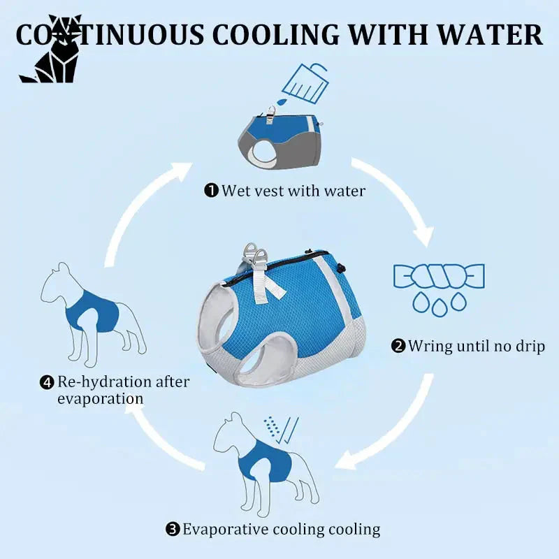 Diagramme des différentes façons d’utiliser un collier pour chien avec la veste rafraîchissante Optimal Comfort