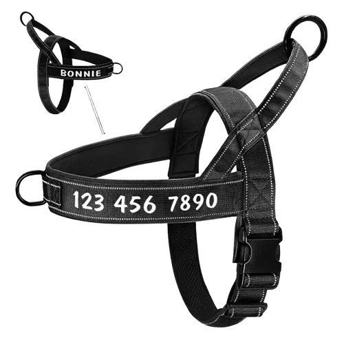 Harnais norvégien Transparent Background