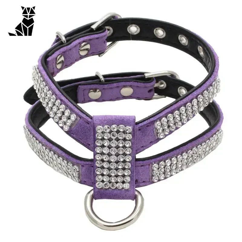 Harnais pour Chihuahua de luxe