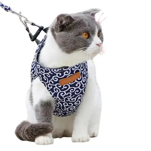 Chat en harnais fleuri : Polyester & Coton, Motifs Floraux, Tendance, Laisse Stylisée Transparent Background