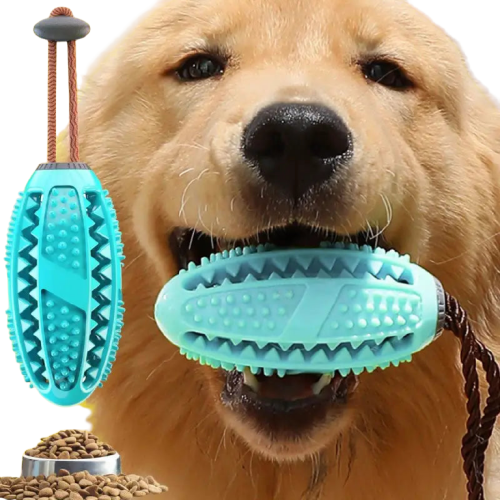 Jouet Brosse à Dents Pour Chien Transparent Background