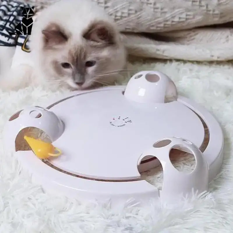 Jouet Interactif Attrape Souris: Divertissement Pour Votre Chat - Blanc