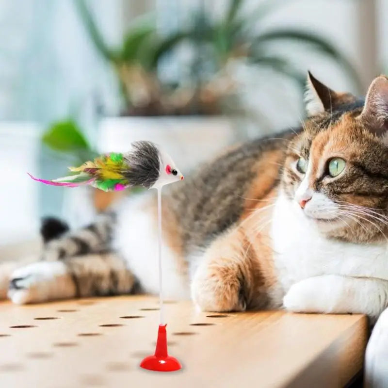 Petit chat couché sur une table avec un jouet interactif en cloche isolée et une petite clochette