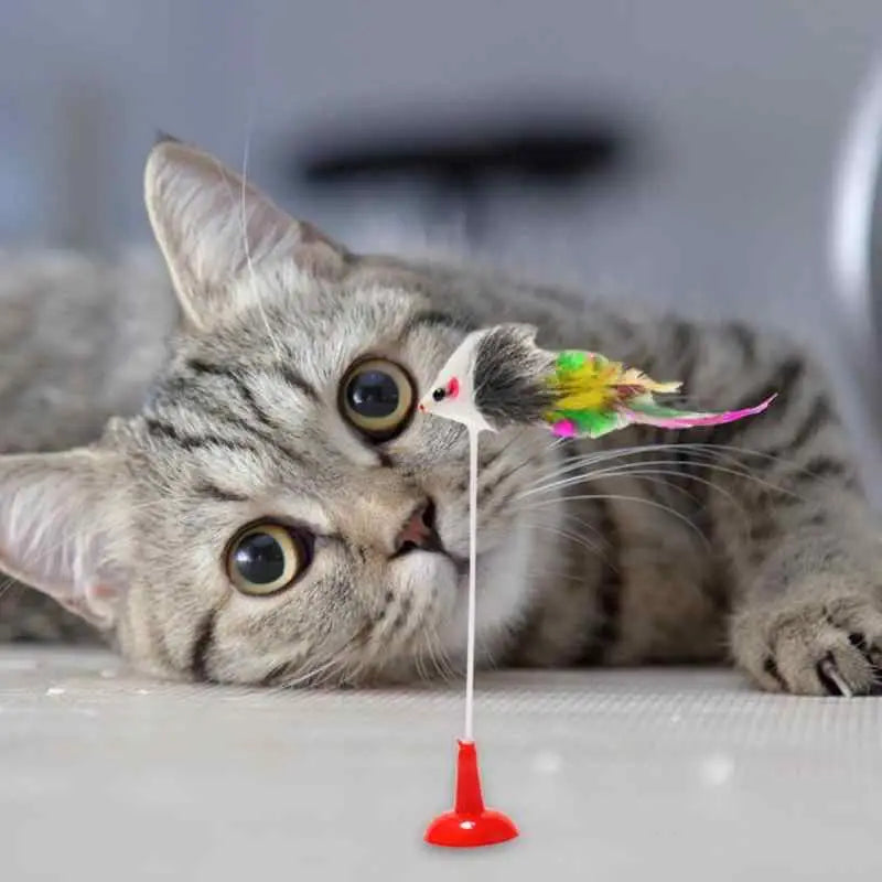 Petit chat couché sur le sol avec un jouet cloche - Jouet isolant interactif pour chat | Little bell