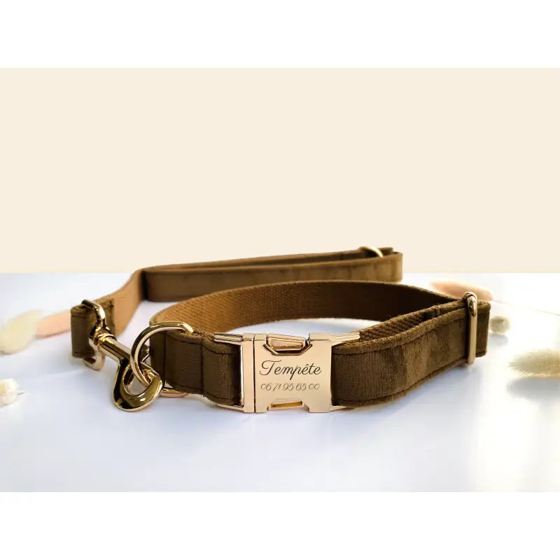 Kit Complet Chien Personnalisé Velours Lisse Marron