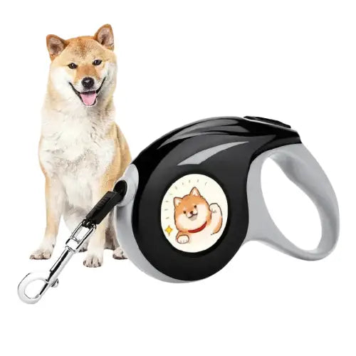 Chien sur une laisse automatique rétractable personnalisée avec collier Transparent Background