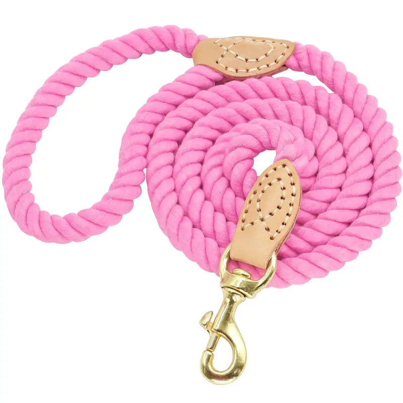 Laisse pour chien solide