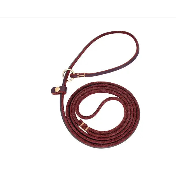 Laisse en cuir pour chien