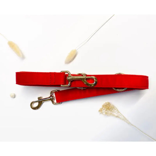 Laisse Multiposition Velours Rouge