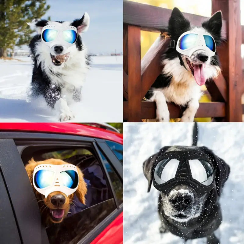 Lunettes de soleil pour chiens : Lunettes de soleil ajustables pour chiens, élégantes et confortables