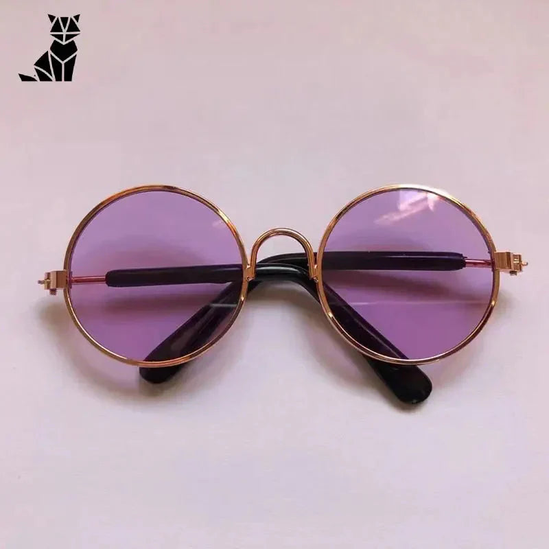 Lunettes de soleil à verres violets pour chiens : Accessoires pour animaux SFP
