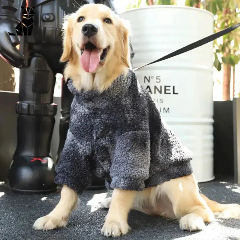 Grand chien dans un manteau douillet, assis sur le sol, avec le manteau d’hiver chaud pour chiens