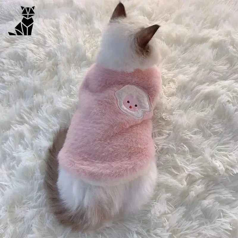 Petit chaton blanc dans un manteau de fausse fourrure rose - vêtement élégant pour chats