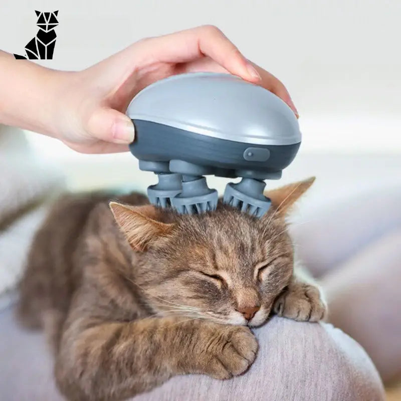 Masseur pour chat | MasseMiaou™