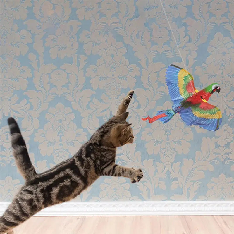 Chat s’amusant avec le cerf-volant ’Interactive Bird’, dites adieu à l’ennui, parfait pour votre chat dintérieur