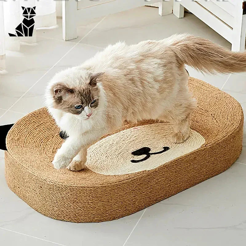 Planche à gratter pour chat - Un outil indispensable pour les griffes de votre chat - Natural Medium Scratching Pad (Planche à gratter)