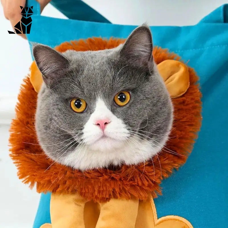 Sac de transport pour chat | Liontrotter™