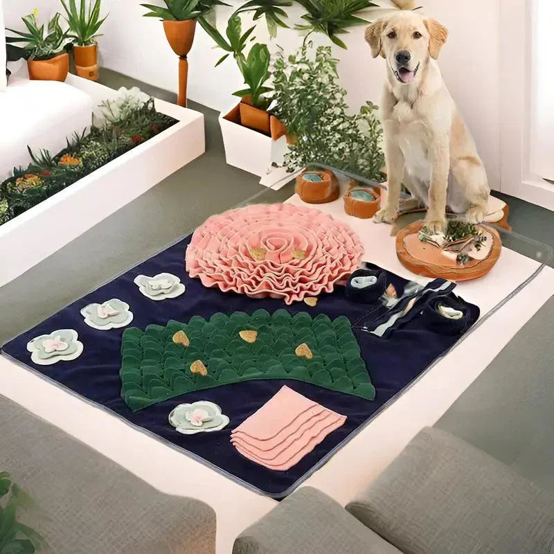 Chien assis sur une table avec une plante au milieu, tapis interactif offrant une expérience unique