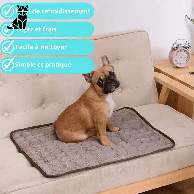 Chien sur un canapé avec coussin, utilisant tapis rafraîchissant pour temps chaud